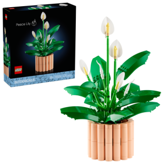 LEGO® Botanicals 11504 Lopatkovec